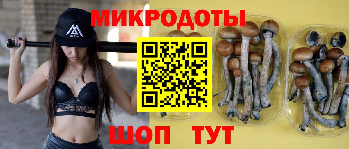 Псилоцибиновые грибы мицелий Кирово-Чепецк